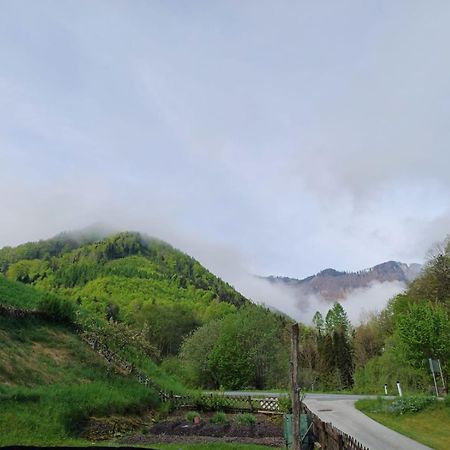 Wohnung Im Nationalpark Kalkalpen 3 Reichraming Exterior foto